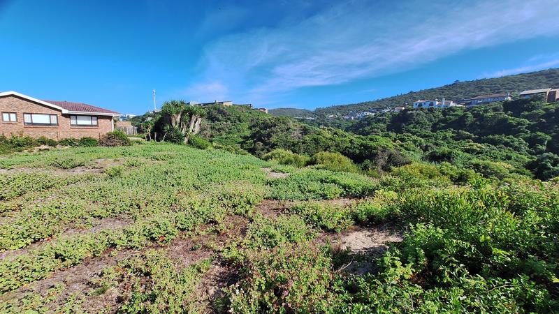 0 Bedroom Property for Sale in Outeniqua Strand Western Cape